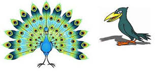 ساده نویسی حکایت در مورد طاووس و زاغی
